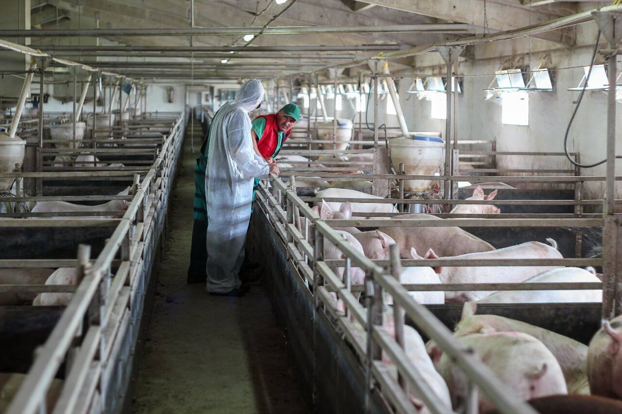 note-6272865785475953419-Livestock-Pressure-Washing Livestock