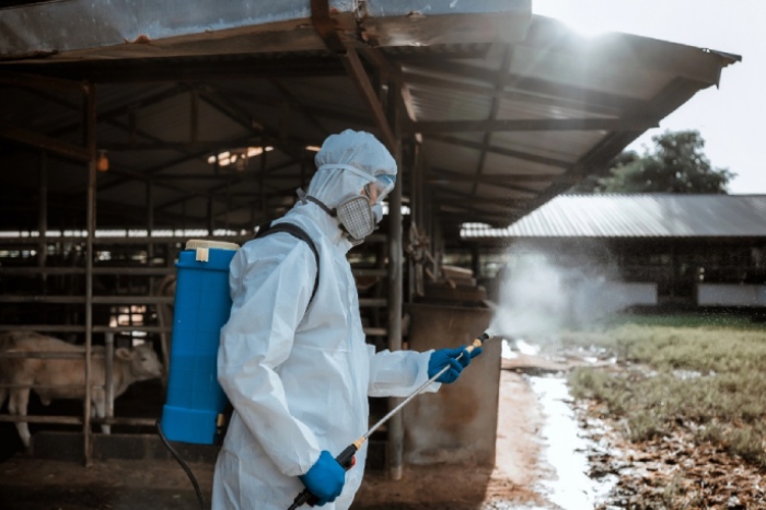 Agricultural sanitation process in a livestock facility using spray equipment.